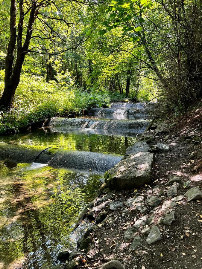 Auszeit Bergliebe Daire Winterberg Dış mekan fotoğraf